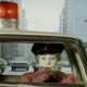 Illustration for article titled 10 Wacky, Must-watch Stories from iBatman 66/i
